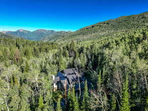 View of mountain backdrop featuring a forest