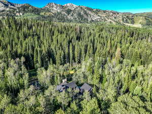 Mountain view featuring a heavily wooded area