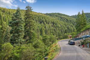 Mountain view featuring a heavily wooded area