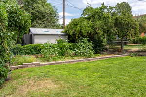 Awesome Vegetable Garden Area!