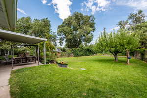 Large Backyard is Flat, Fully Fenced for Kids and Pets to play Safely! So very Quiet! The Perfect Backyard!