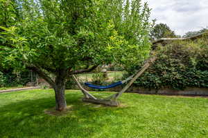 Imagine Taking a Lazy Nap under this Shady Tree in your Comfy Hammock! So Quiet and Inviting!