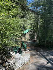 View of yard featuring a view of trees