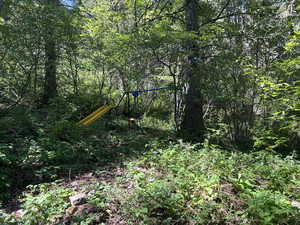 View of woods