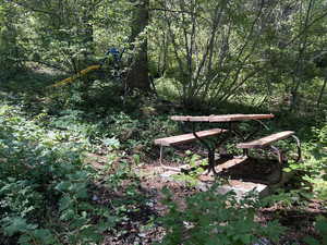 Surrounding community with a forest view