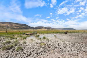 Artesian Well on West of Property