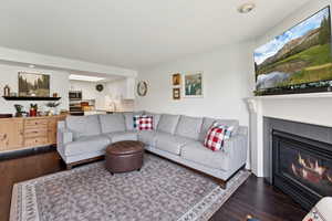 Living room featuring dark wood-type flooring and a tile fireplace