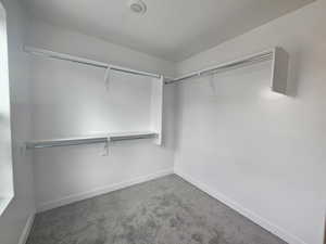 Spacious closet with carpet floors