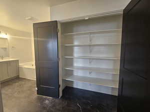 Closet featuring a sink