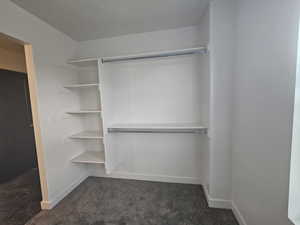 Spacious closet featuring carpet flooring