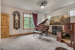 Sitting room with plenty of natural light and carpet flooring