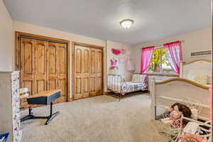 Carpeted bedroom featuring two closets