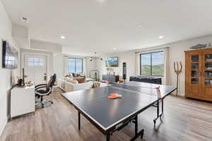 Recreation room with light wood finished floors, plenty of natural light, and recessed lighting