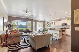 Living area featuring a ceiling fan, dark wood finished floors, crown molding, and recessed lighting