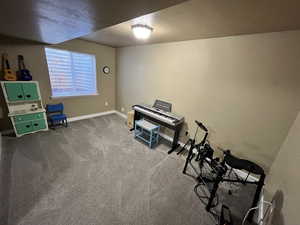Miscellaneous room featuring baseboards and carpet