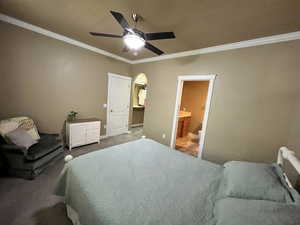 Carpeted bedroom with ornamental molding, connected bathroom, ceiling fan, and a walk in closet