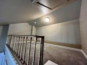 Stairway featuring carpet and vaulted ceiling