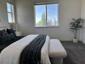 Bedroom with baseboards and carpet floors