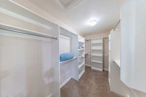 Spacious closet featuring carpet floors