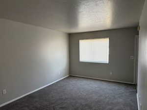 Living room featuring dark colored carpet