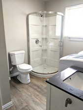 Full bathroom with wood finished floors, a stall shower, and vanity