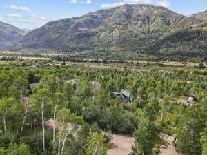 View of mountain backdrop featuring a heavily wooded area