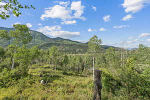 Mountain view featuring a heavily wooded area