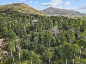 Mountain view with a forest