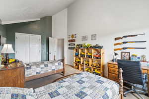 Carpeted bedroom with high vaulted ceiling and a closet