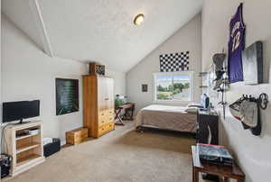 Bedroom with carpet flooring, vaulted ceiling, and a textured ceiling