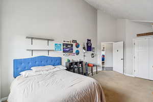 Bedroom with carpet and high vaulted ceiling