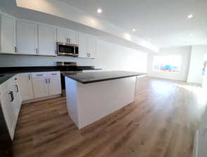 Kitchen with stainless steel appliances, dark countertops, light wood-style flooring, recessed lighting, and open floor plan