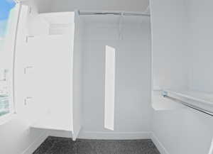 Walk in closet with carpet flooring