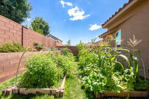 View of fenced yard