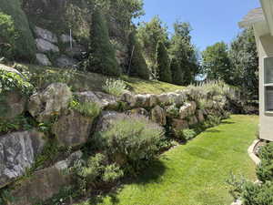 View of grassy yard