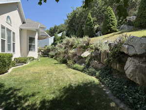 Terraced back yard