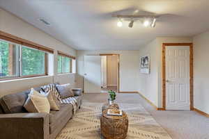 Living area with light carpet and track lighting
