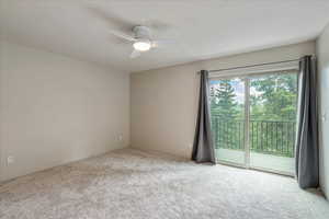 Brand new carpet