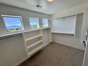 Spacious closet featuring carpet flooring
