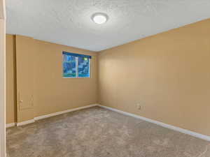 Spare room featuring carpet and a textured ceiling