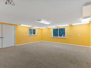 Carpeted empty room with baseboards