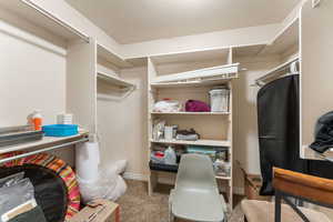 Spacious closet with carpet flooring