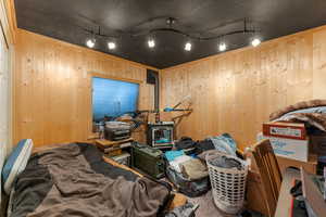 Miscellaneous room featuring wooden walls, carpet floors, and track lighting
