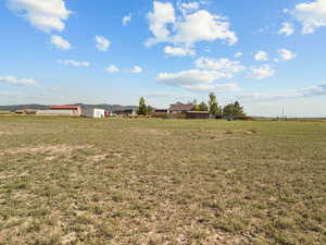 View of yard with a view of rural / pastoral area
