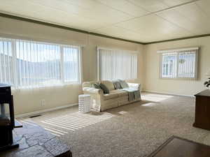 Living area with lots of natural light!