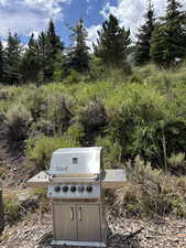 Jones Lake community picnic area