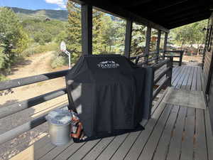 Deck to front door and grill area