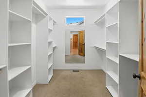 Walk in closet with carpet floors