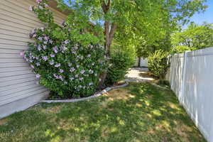 View of fenced backyard