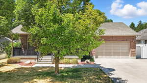 View of property hidden behind natural elements featuring a shingled roof, brick siding, driveway, and covered porch